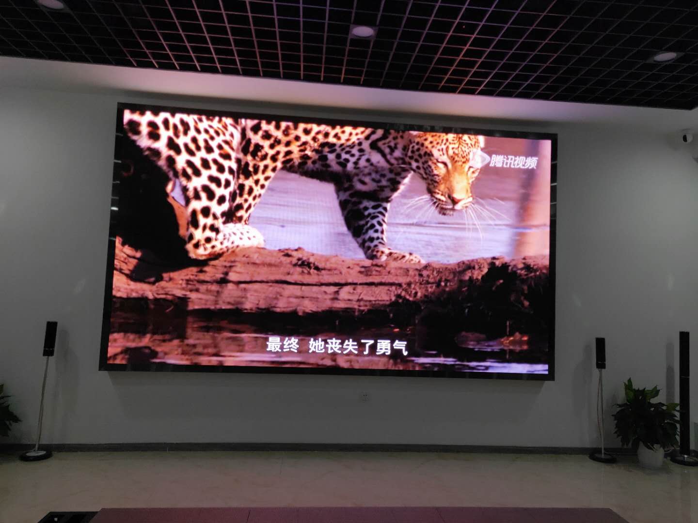 小間距LED顯示屏選購的三點標準